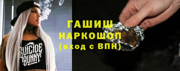 2c-b Пестово