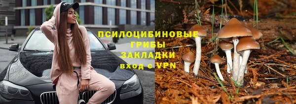 стафф Покачи