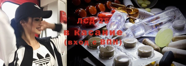 стафф Покачи