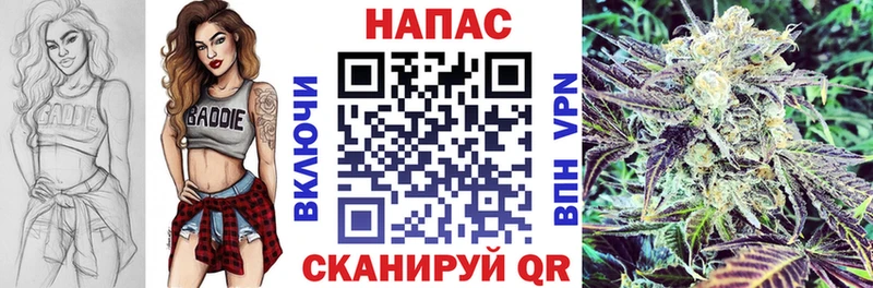 Конопля сатива Тарко-Сале